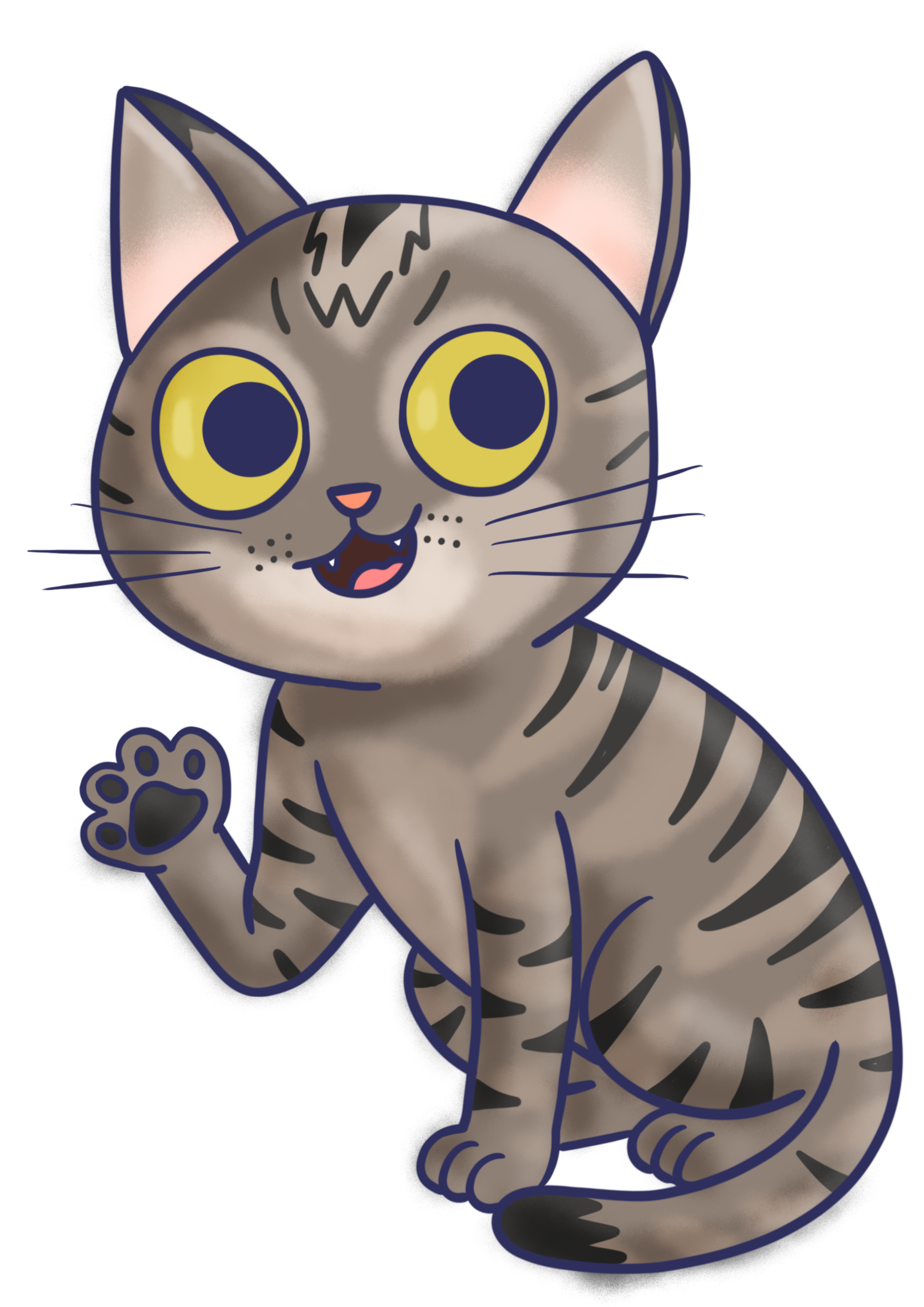 Gato veterinaria
