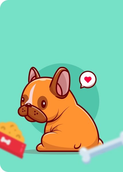 Perro