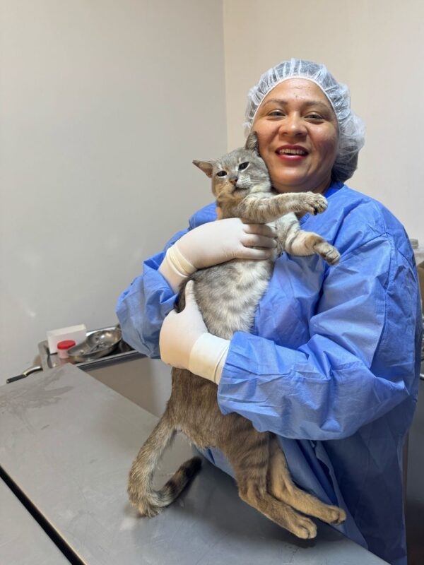 Esterilización