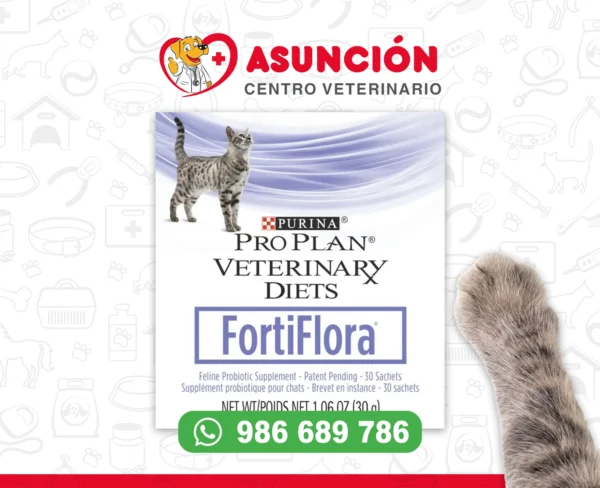 FORTI FLORA PARA GATOS