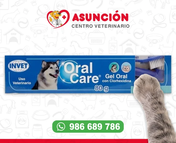 ORAL CARE